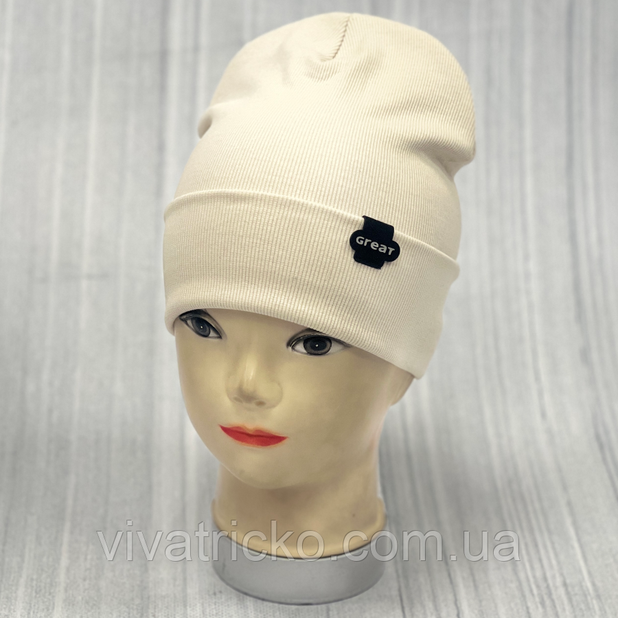 М 89520. Шапка подвійна з відворотом для хлопчика "GREAT, 2-8 років, різні кольори, фото 1