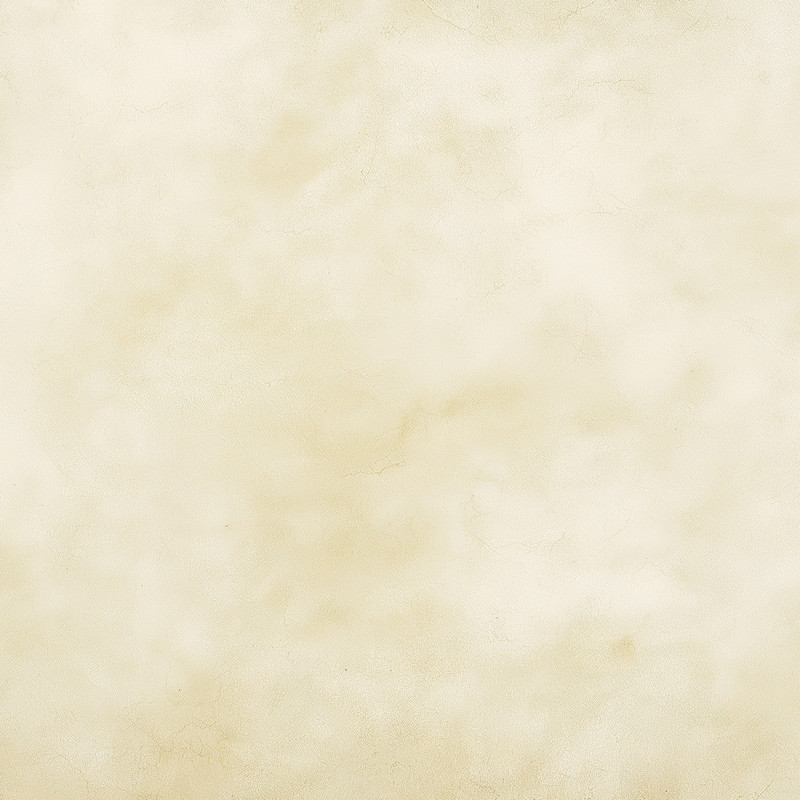 Вініловий фотофон 60х60см, Frontlit 450 г/м2 №551904, фото 1