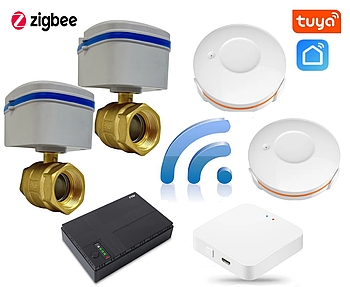 Smart захист від протікання води 1DAL | Бездротова автономна ZigBee система проти потопу ProfiKit 1/2" | APP "Tuya"