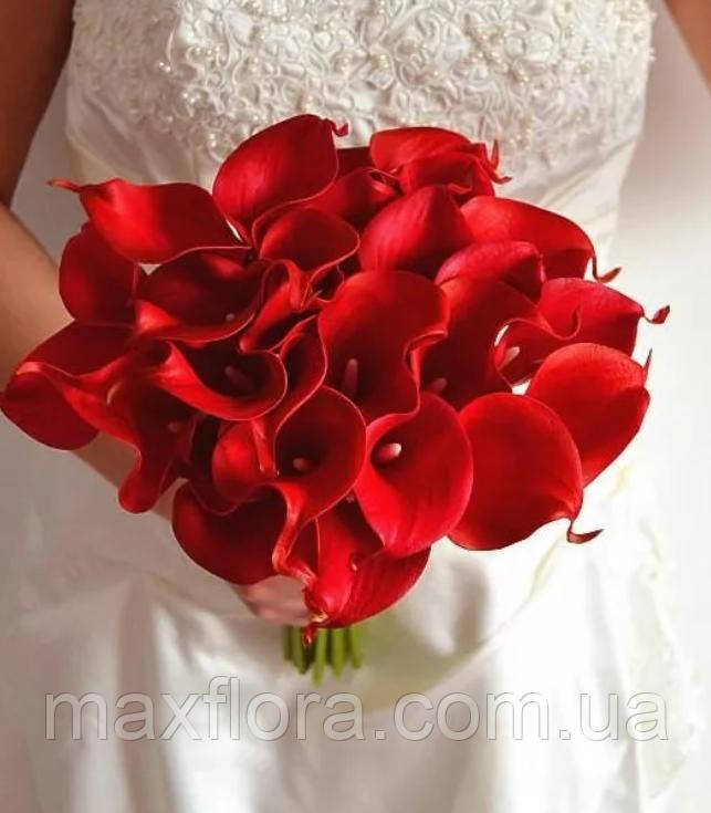 Кала Red Symphony 06/08, фото 1