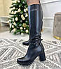 Чоботи чорні шкіряні жіночі на стійкому підборі, декоровані ремінцями, фото 5