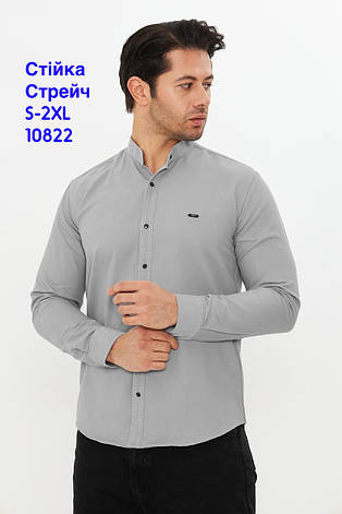 Приталена сорочка Palmen з довгим рукавом (варений котон), стійка, фото 1