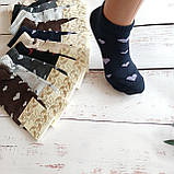 Шкарпетки жіночі ALBA короткі різнокольорові сердечка 35-38р | 12 пар, фото 2