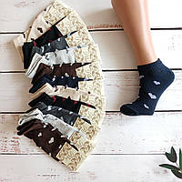 Шкарпетки жіночі ALBA короткі різнокольорові сердечка 35-38р | 12 пар