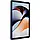 Планшет Blackview Oscal Pad 7 4/128Gb LTE Tide Blue Global version, фото 8
