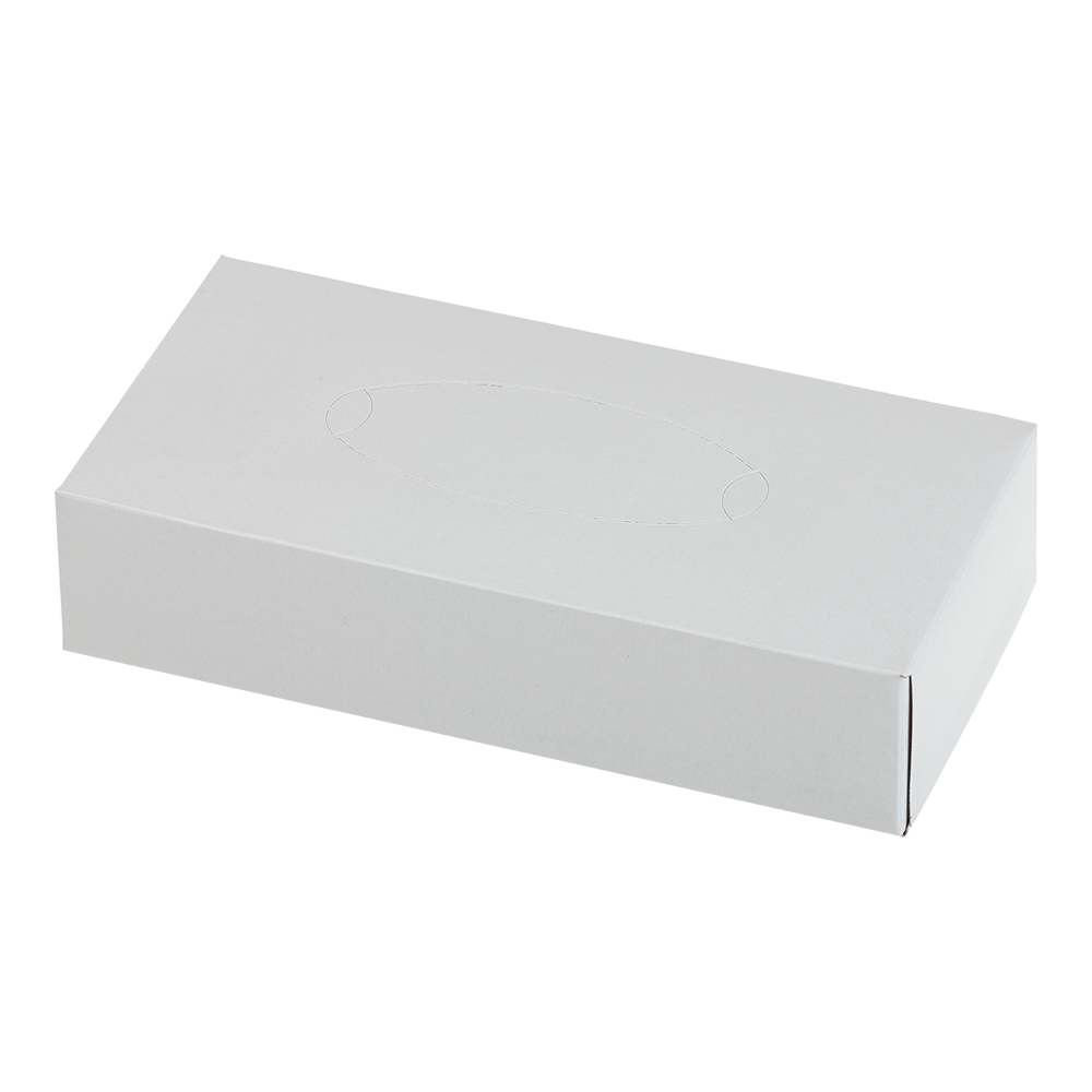 /Салфетки косметичні BUROCLEAN 200*190 мм 100 шт. 2-св у пеналі білі