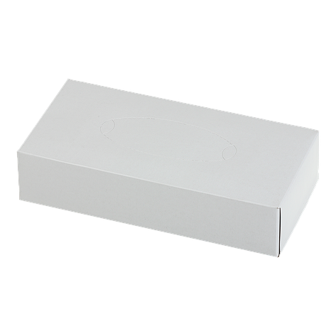 /Салфетки косметичні BUROCLEAN 200*190 мм 100 шт. 2-св у пеналі білі, фото 1