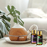 Ефірні масла набір MAYJAM натуральні преміум олії 35 шт для зволожувача лазні на подарунок, фото 6
