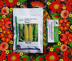 Насіння кукурудзи БСС 1075 / BSS 1075 F1 (Syngenta), 50 грам — рання (65-75 днів), суперсолодка, біколорна