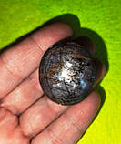 Натуральний зірчастий рубін 215,55 карата від студії LadyStyle.Biz, фото 6