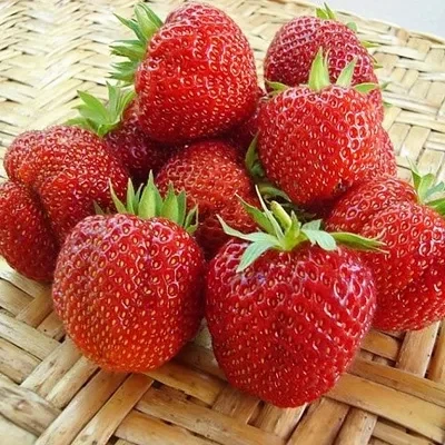 Полуниця Рубі Джем, фото 1