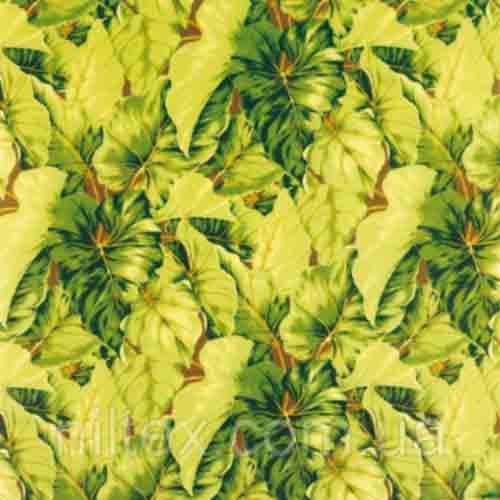 Рулонні штори Leaves, Польща