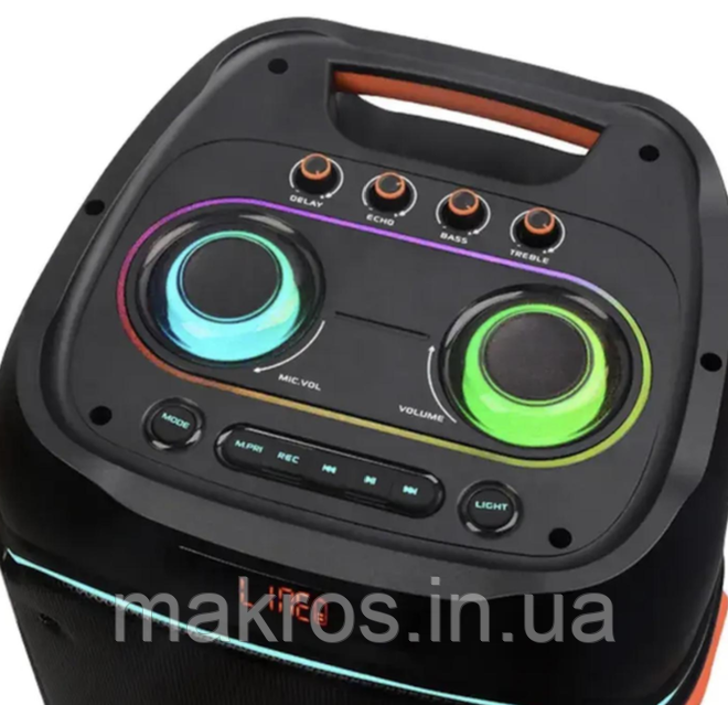 Акустичная переносная колонка ZXX-5540 2x10