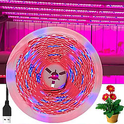 Світлодіодна фітострічка для рослин, від USB, 5 м, Фіолетовий / LED стрічка для рослин / Фітострічка для розсади