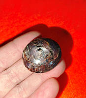 Натуральний великий зірчастий рубін 186,35 карата від студії LadyStyle.Biz