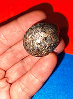 Натуральний великий зірчастий сапфір 163,45 карата від студії LadyStyle.Biz