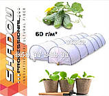 Парник "SHADOW", 6 метрів 60 г/м², 1200х800 мм. (Агро-теплиця), фото 2