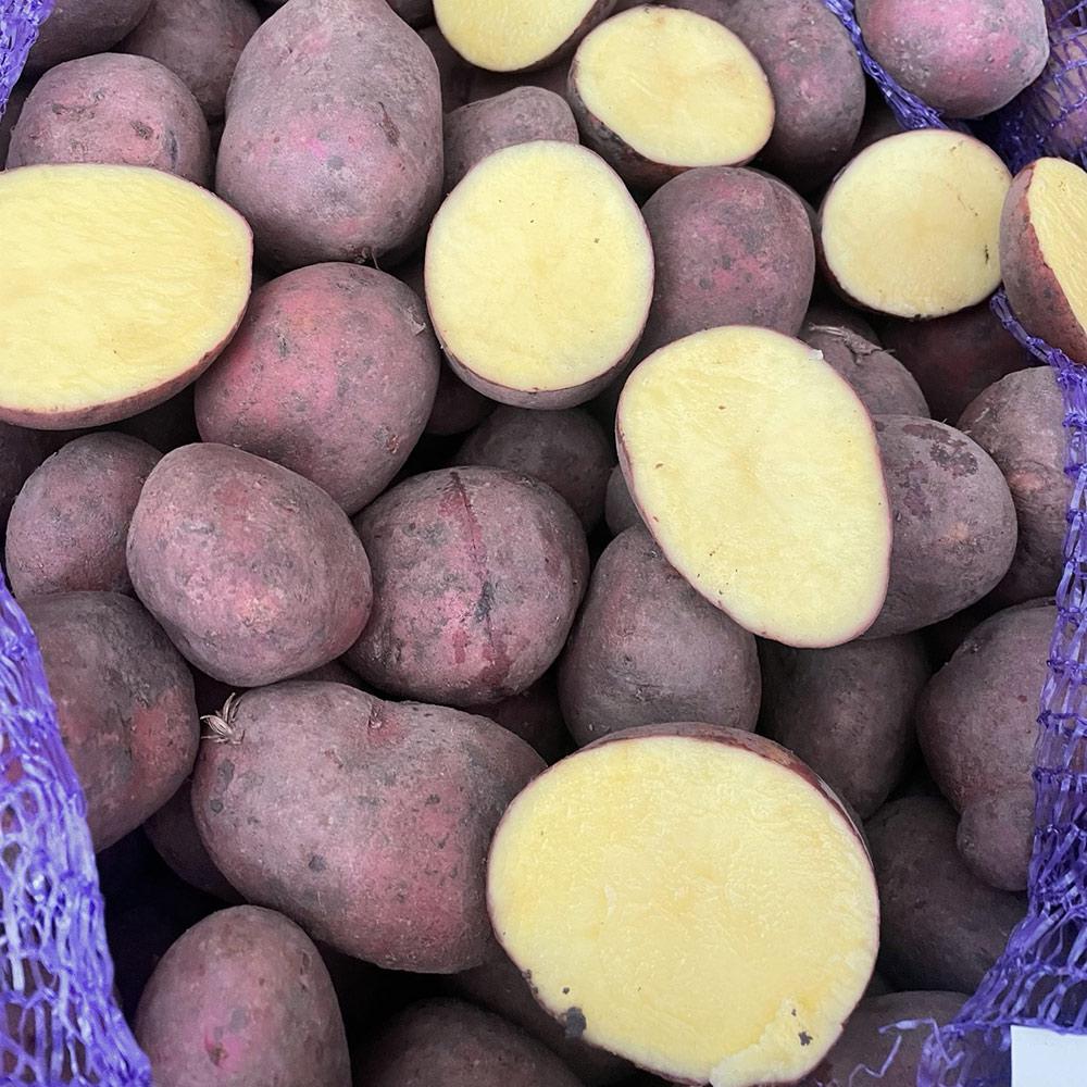 Насіннєва картопля Балтік Роуз, 2 репродукція