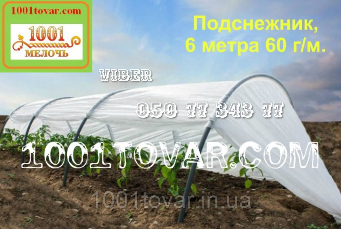 Парник Пролісок Подснежник 6 метрів 60 г/м² Агро-теплиця, фото 1