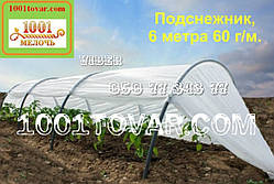 Парник Пролісок Подснежник 6 метрів 60 г/м² Агро-теплиця