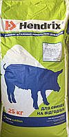 Білково мінерально вітаміна добавка 20% БМВД (7014) Екстра 30-60кг Hendrix 25кг (Trouw Nutrition, Україна)