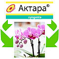 Актара для орхідей: як захистити екзотичні квіти від шкідників