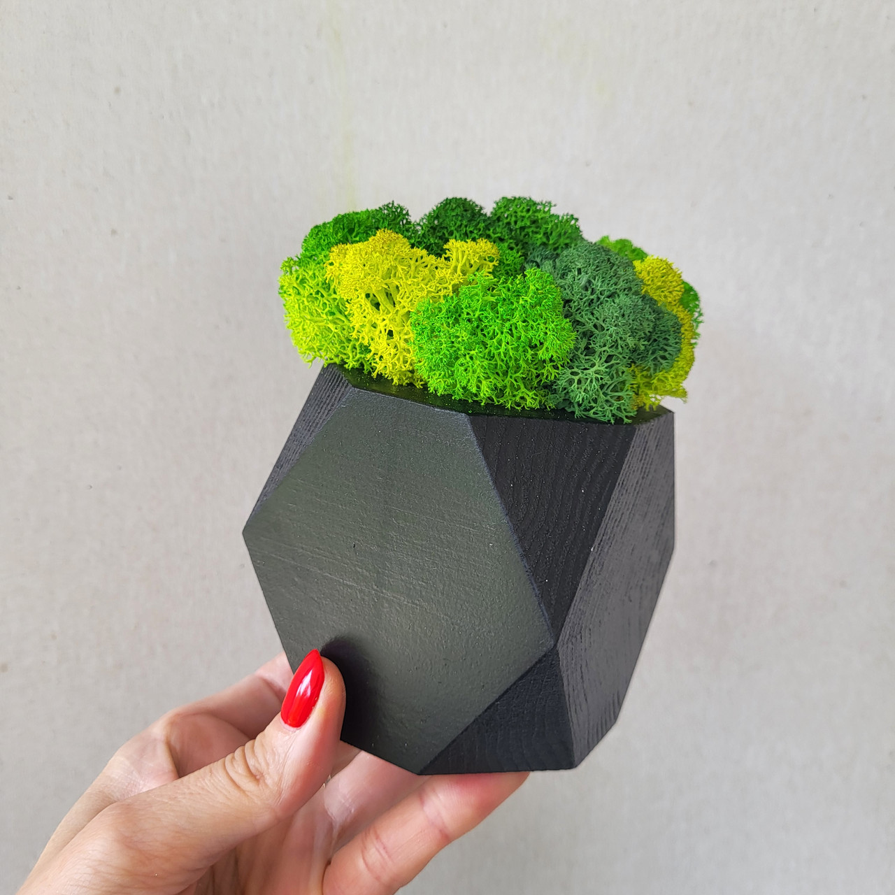 Чорне дерев'яне кашпо з зеленим кольором моху, фото 1