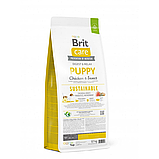 Сухий корм Brit Care Dog Sustainable Puppy для цуценят з куркою та комахами 12 кг, фото 3