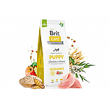 Сухий корм Brit Care Dog Sustainable Puppy для цуценят з куркою та комахами 12 кг, фото 4