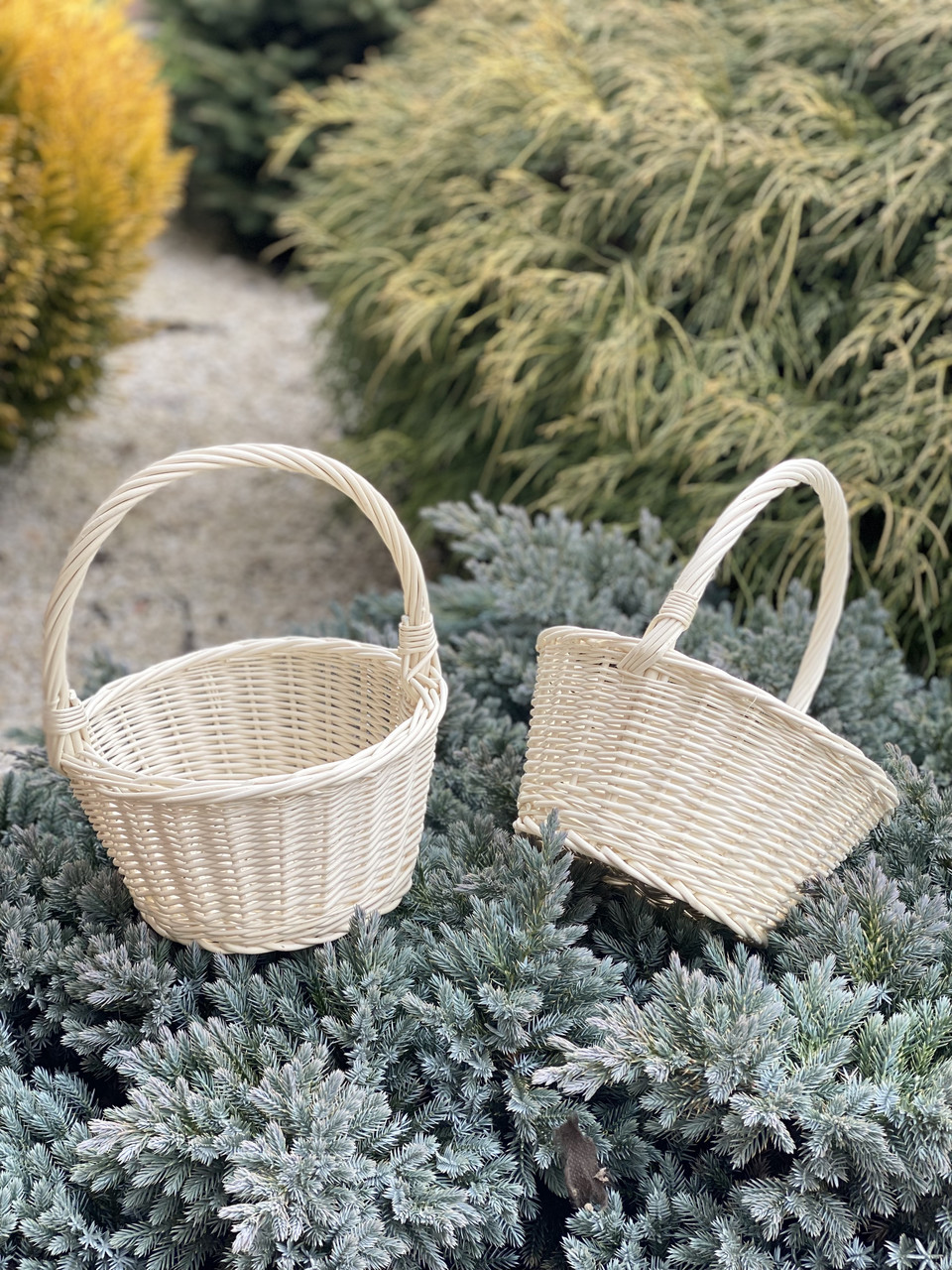 Кошик вибілена 🎀 з цільної лози. Арт:2077, фото 1