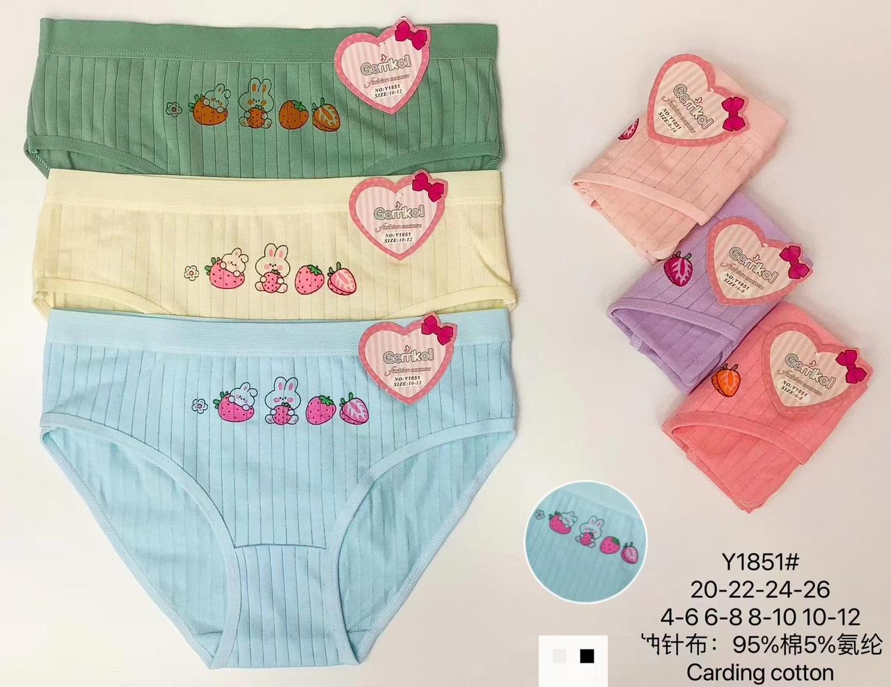 Труси дитячі бавовняні розмір 4-6, 6-8, 8-10, 10-12 років (від 12 шт.)