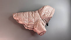 Куртки, ветровки