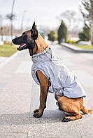 Жилет для собак Flashlight, L1 (*)