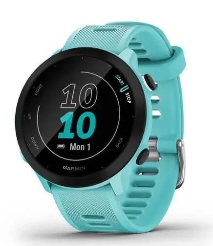 Спортивний годинник Garmin Forerunner 55 Aqua (010-02562-12/02)