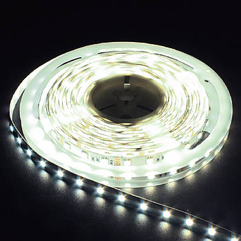 Світлодіодна стрічка Feron LS606 60SMD/м 12 V IP20 білий