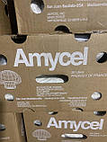 Міцелій Печериць, упаковка 9 кг з фільтром Amycel Exxcalibur, фото 5
