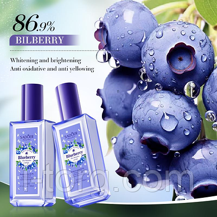 Лосьйон для обличчя з чорницею Sadoer Blueberry Moist Antioxidation Lotion, 105 мл., фото 2