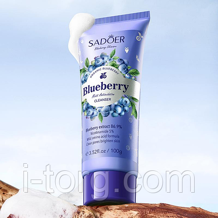 Пінка для обличчя з чорницею Sadoer Blueberry Moist Antioxidation Cleanser, 100 мл., фото 1
