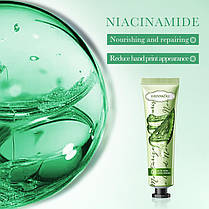 Крем для рук з Алое Віра FAYANKOU, 30г., фото 3