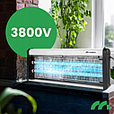 Знищувач комах 40Вт 3800В MalTec (Польща), фото 5