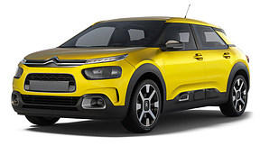 C4 Cactus