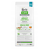 Сухий корм Brit Care Dog Adult Large Breed для собак великих порід беззернової з лососем 12 кг, фото 4