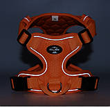 Шлея для собак, фото 7