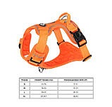 Шлея для собак, фото 2