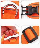 Шлея для собак, фото 8