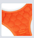 Шлея для собак, фото 9