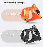 Шлея для собак, фото 5