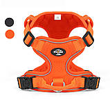 Шлея для собак, фото 3