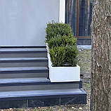 Бетонний вазон серія "RS Кадіс" (26, 71, 85 л.) кашпо для квітів та дерев, для вулиці, саду, дачі та тераси, фото 5