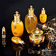 Живильна есенція з високою концентрацією женьшеню The History of Whoo Gongjinhyang Intensive Nutritive Essence 1 ml, фото 5